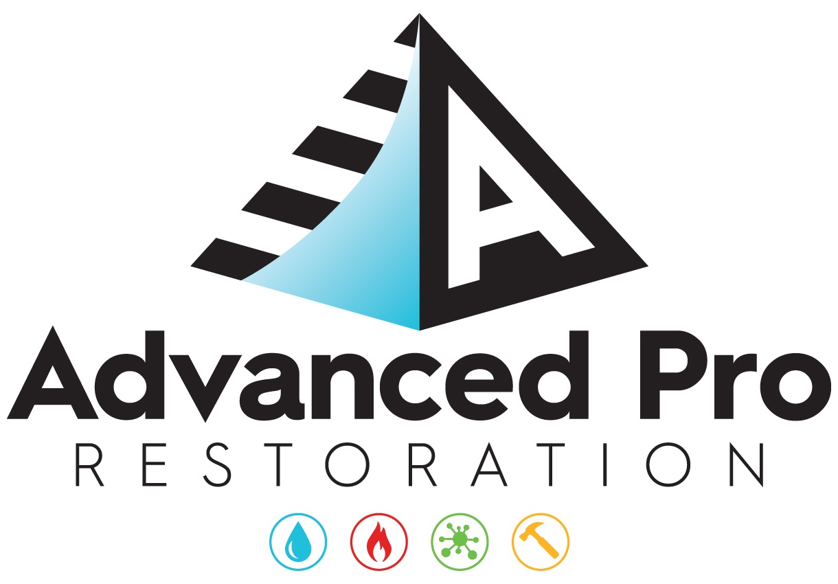 Advanced Pro Remediation LLC logo