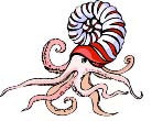 NAUTILUS POOLS logo