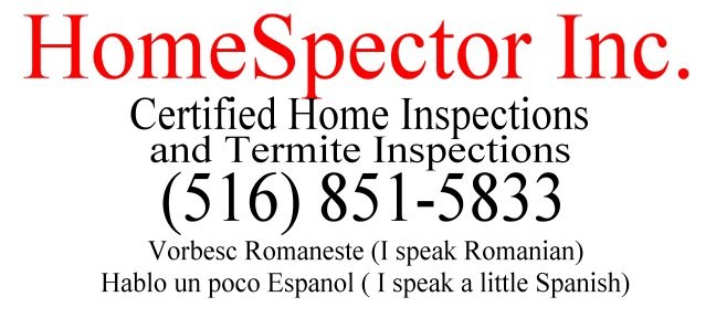 Logo for HomeSpector Inc