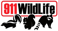 Logo for 911 Wildlife
