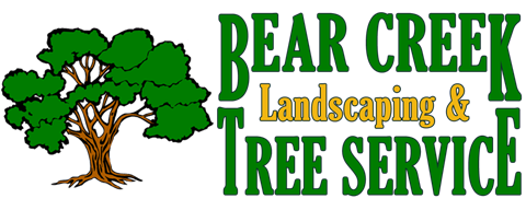 Logo for BEAR CREEK TREE SERVICE