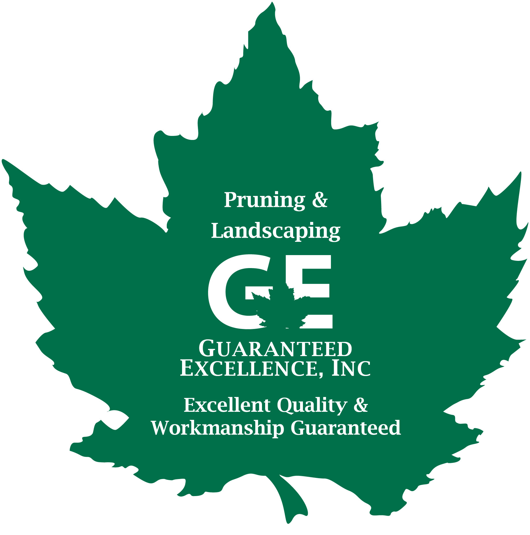 Logo for GUARANTEED EXCELLENCE INC
