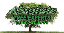 Logo for Absolute Tree Experts