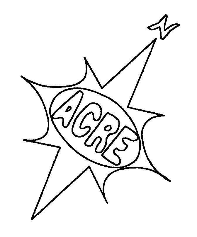 ACRE Engineers & Land Surveyors logo