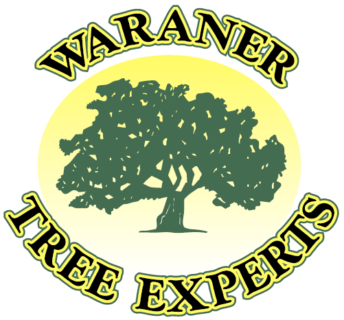 Logo for Arborist Waraner Tree Experts