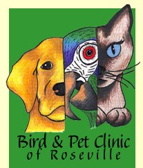 Logo for BIRD & PET CLINIC OF ROSEVILLE