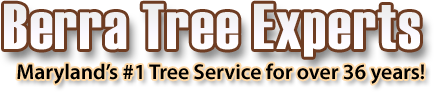 Logo for Services Unlimited by R J Berra Inc