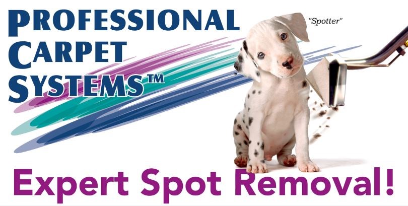 Professional Carpet Systems logo