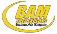 Logo for 770 Bam Tree