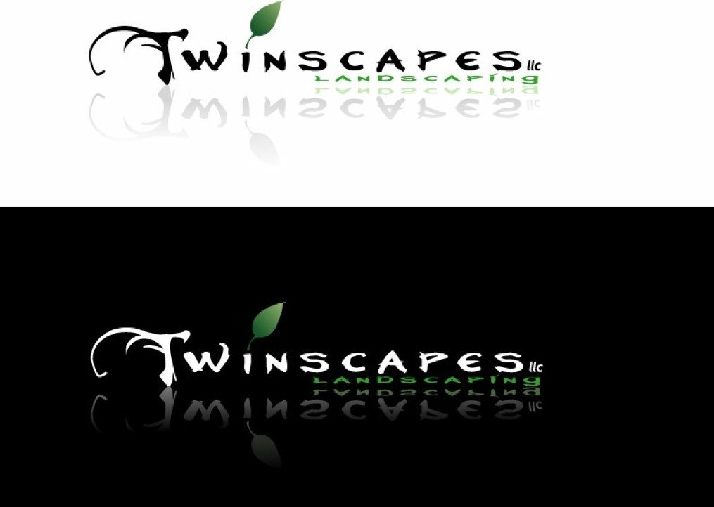 Logo for Twinscapes LLC