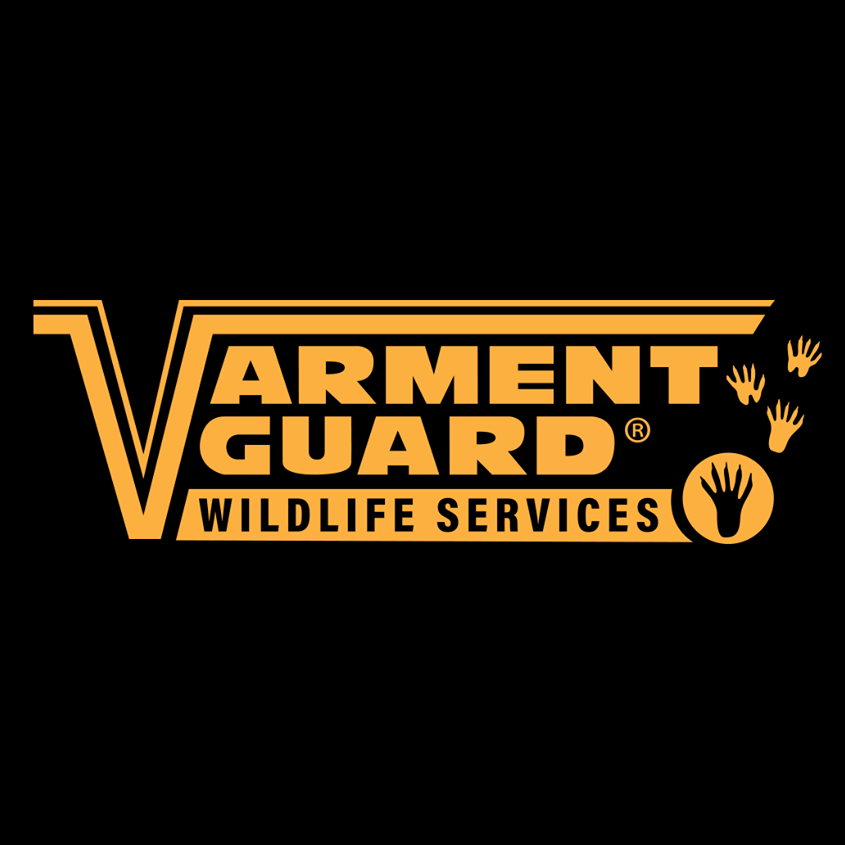 Logo for Varment Guard Wildlife Services