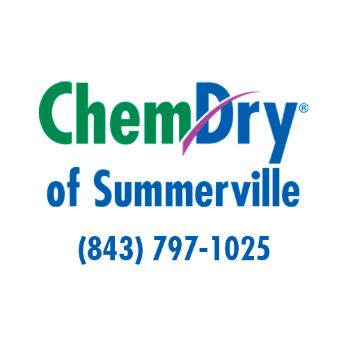 Logo for Chem-Dry Of Summerville