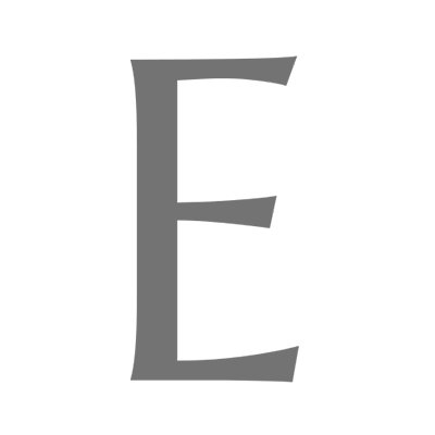 ERNST Painting & Fine Finishes logo