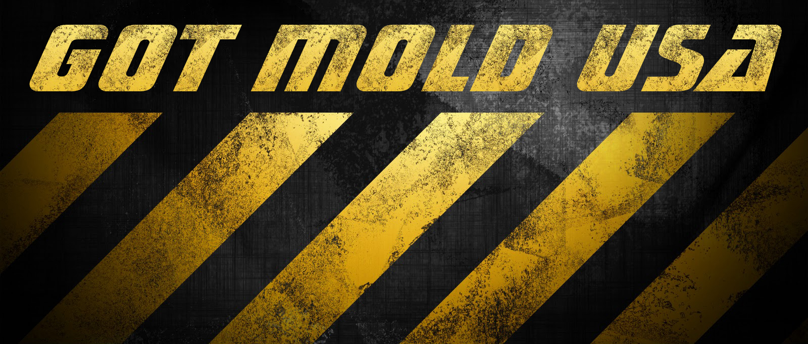 Logo for GotMoldUSA