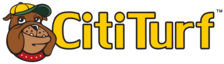 Logo for CitiTurf LLC
