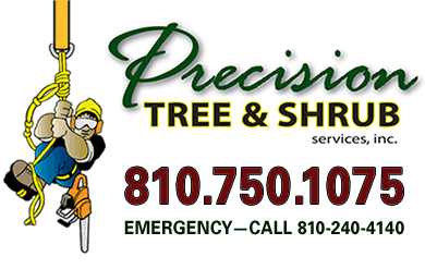 Logo for PRECISION TREE & SHRUB SERVICES, INC