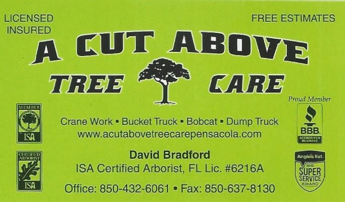 Logo for A CUT ABOVE TREE CARE INC