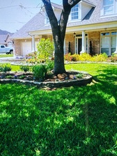 Avatar for Coco's Nursery Inc