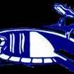 Logo for J C POOLS