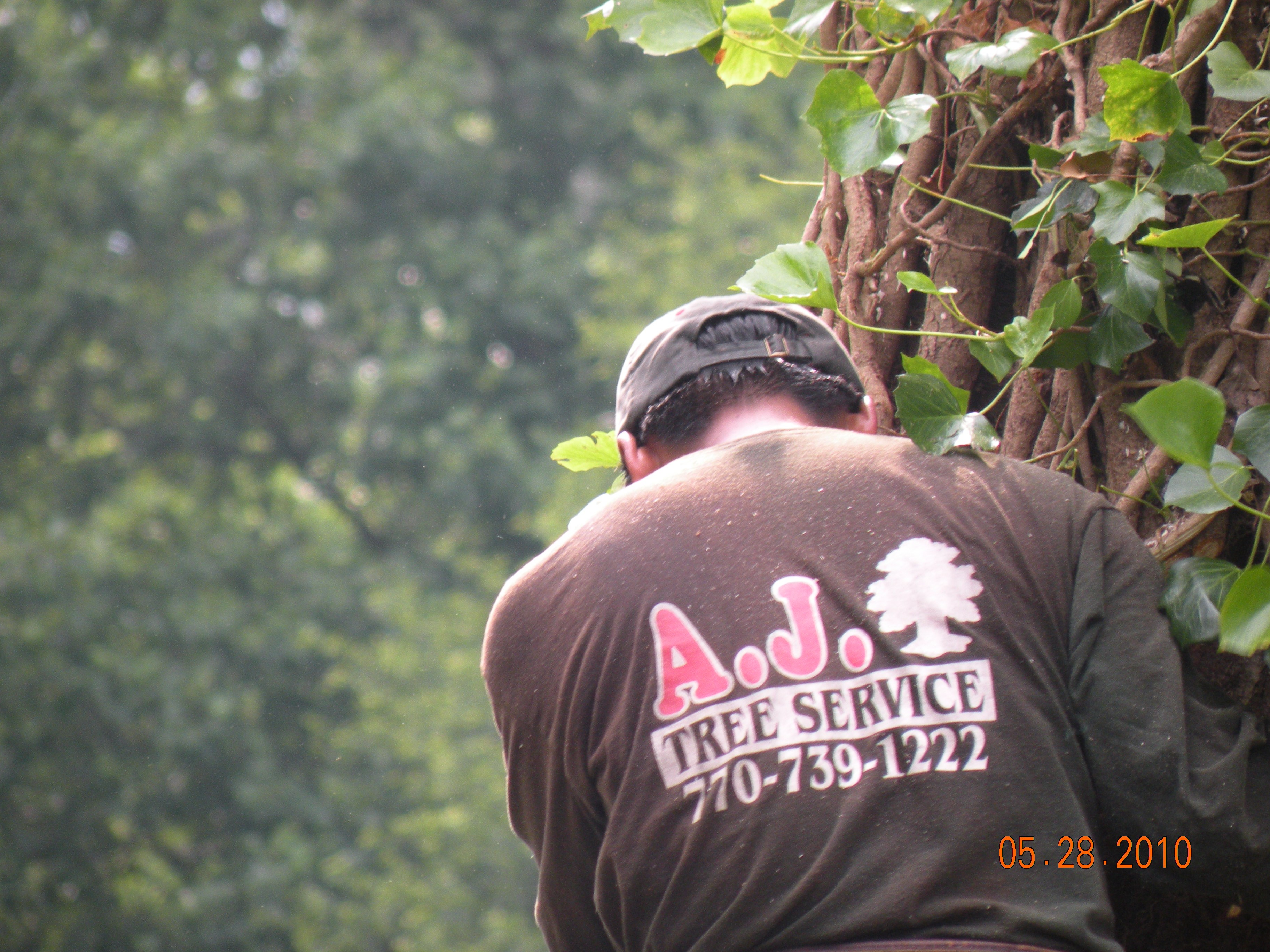 Avatar for AJ's Tree Service
