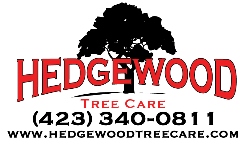 Logo for Hedgewood Tree Care