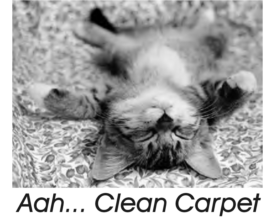 Advanced Carpet Solutions LLC logo