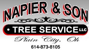 NAPIER & SON TREE SERVICE, LLC logo