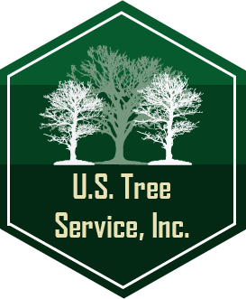 Logo for Us Tree Service Inc