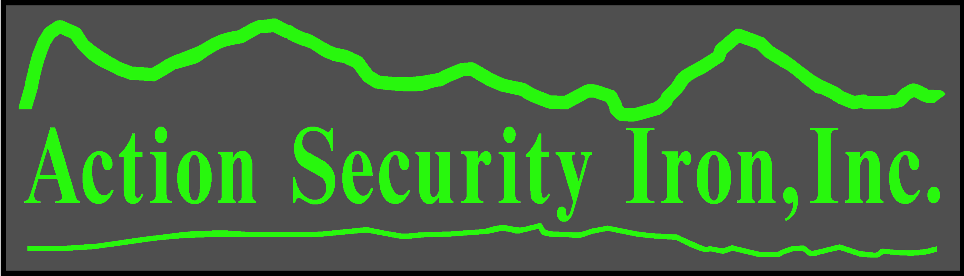 ACTION SECURITY IRON INC logo