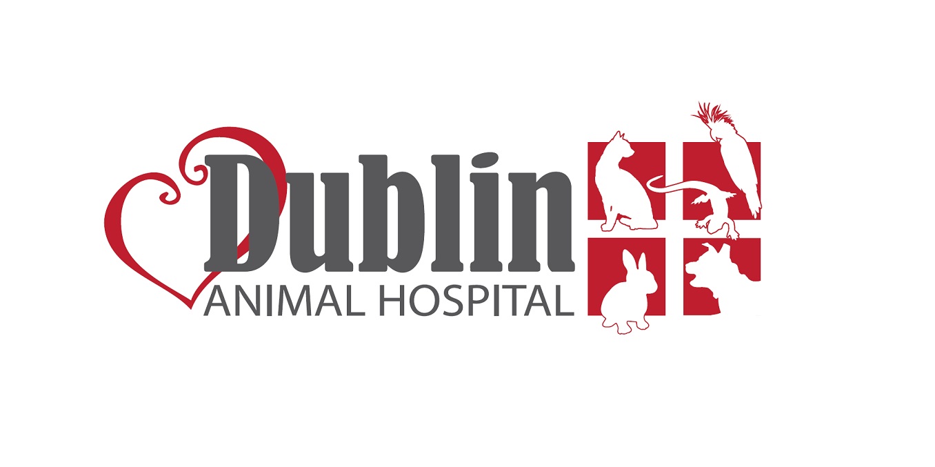 Logo for DUBLIN ANIMAL HOSPITAL