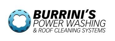 Burrini's Powerwashing & Roof Cleaning Systems logo