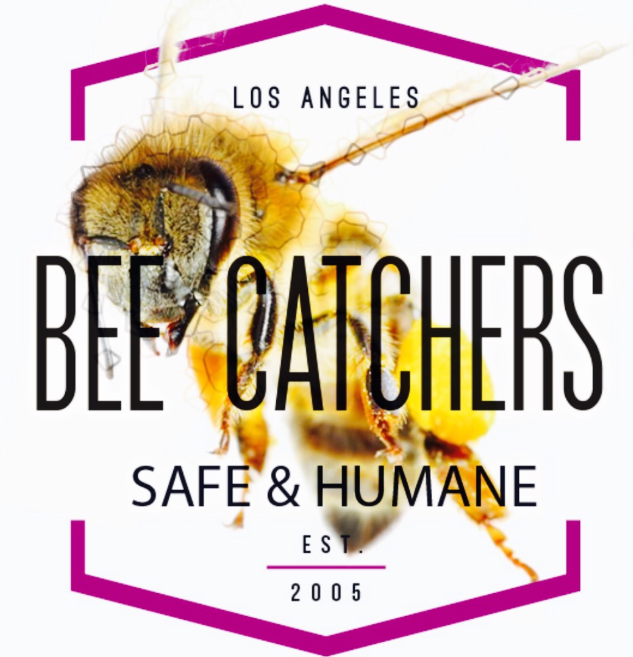 Avatar for Bee Catchers Inc.