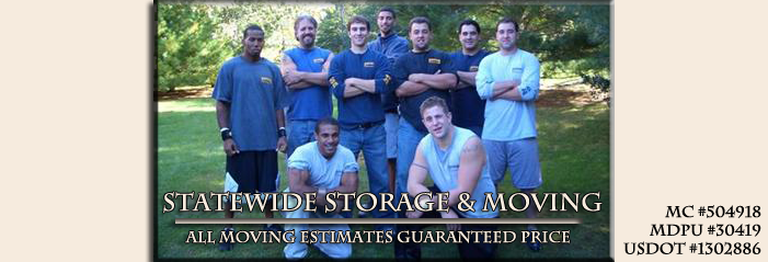 Logo for Statewide Moving & Storage Co