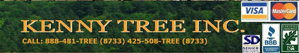 Kenny Tree Inc logo