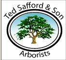 Logo for Ted Safford Arborist