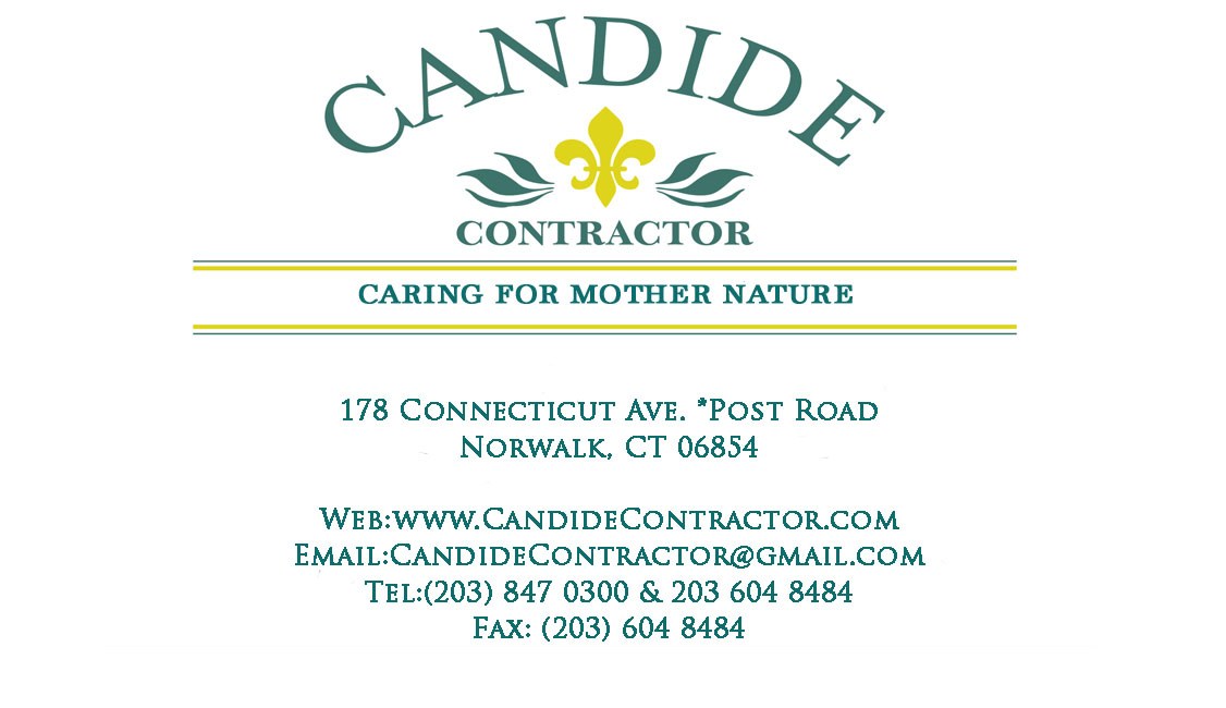 Logo for Candide Contractor LLC