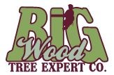 Logo for BIG WOOD TREE EXPERT CO