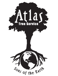 Logo for Atlas Trees
