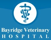 Logo for Bayridge Veterinary Hospital