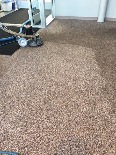 Logo for BULLDOG CARPET CLEANING