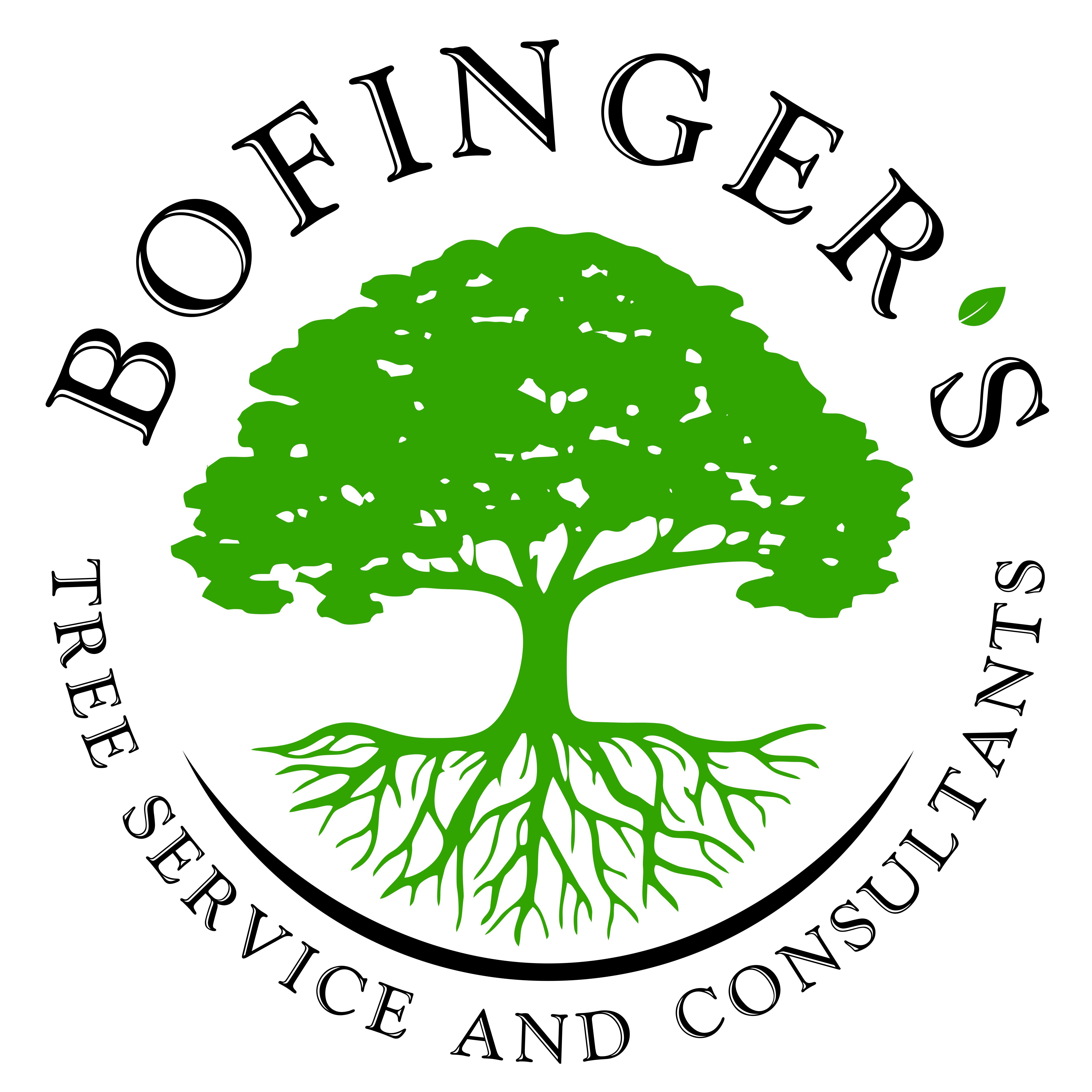 Bofinger Tree Service logo