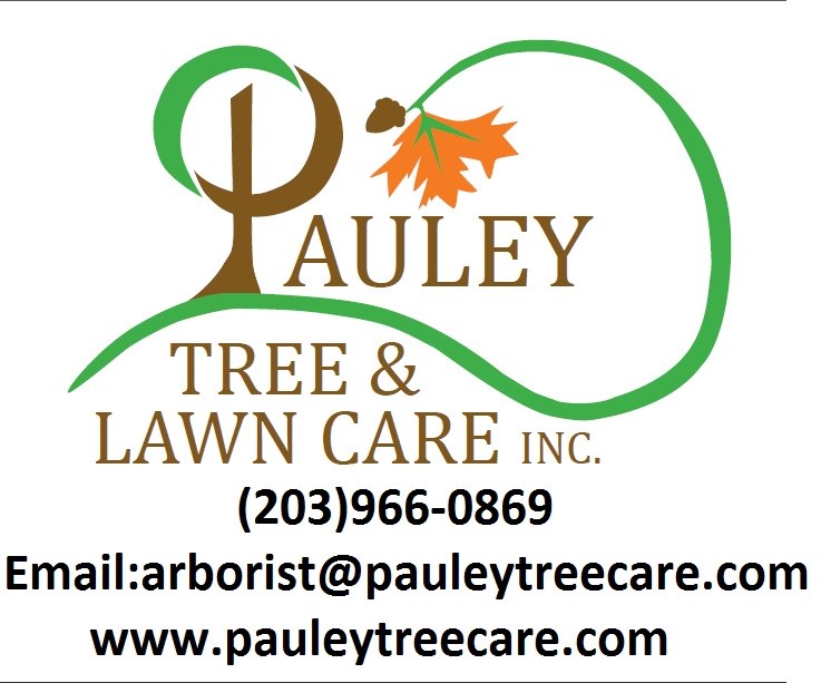 Avatar for Pauley Tree & Lawn Care Inc