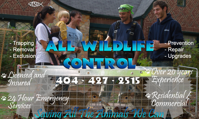 Logo for ALL WILDLIFE CONTROL