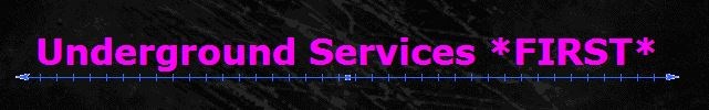 Logo for Underground Services First