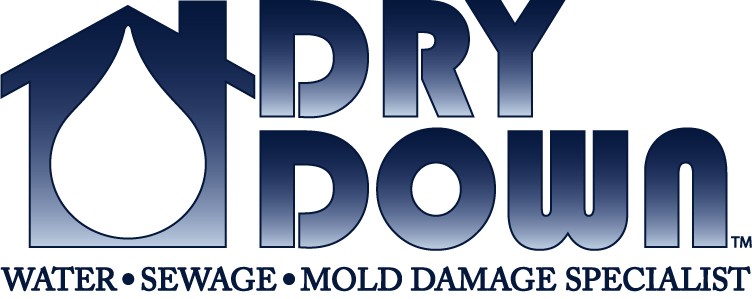 Logo for Dry Down Inc