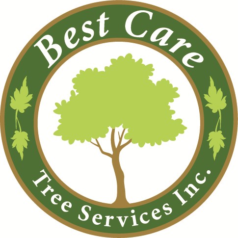 Logo for Best Care Tree Service Inc