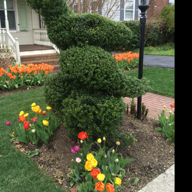 Logo for GREEN WITH ENVY LANDSCAPING