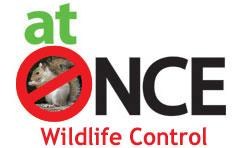 Logo for At Once Wildlife Solutions