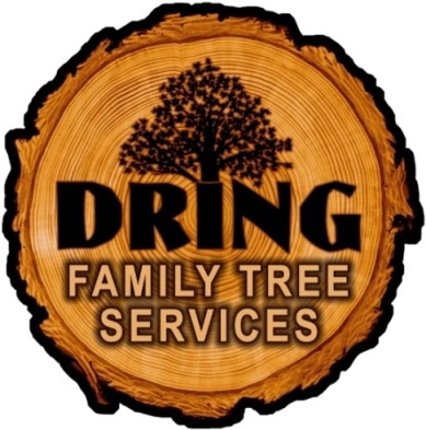 Logo for Dring Family Tree Service