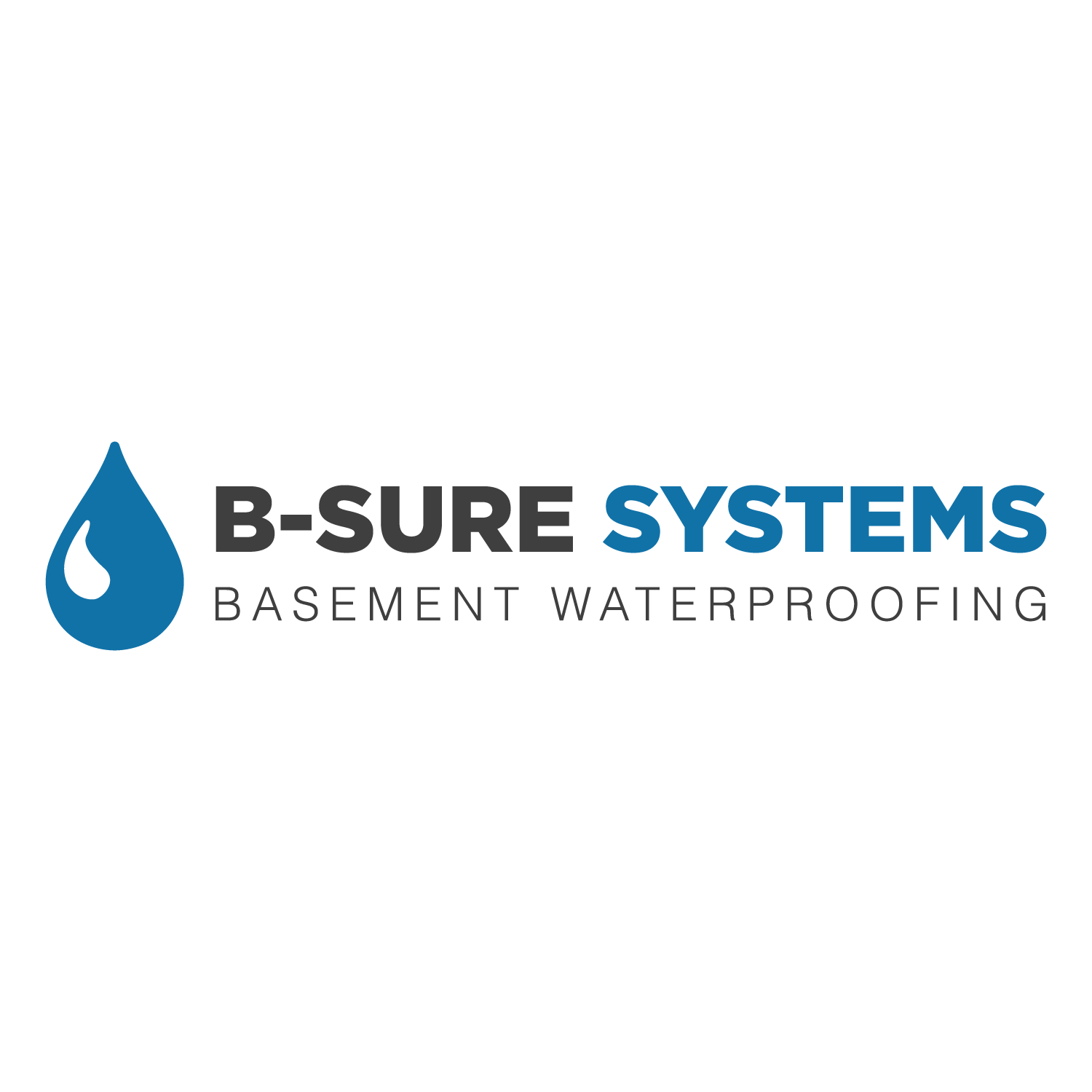 Logo for B-Sure Systems Inc